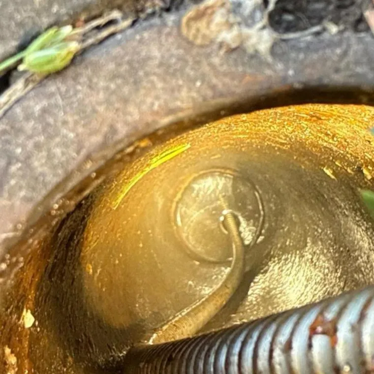 Emergency Plumbing job by Clog Hunter in Muskogee, OK